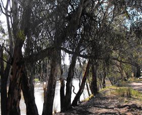 Mia Forest Drives Narrandera - Yamba Accommodation