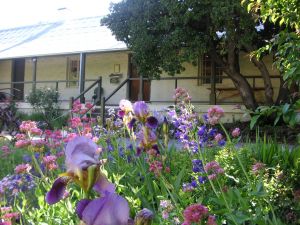 Raglan Gallery And Cultural Centre - Yamba Accommodation